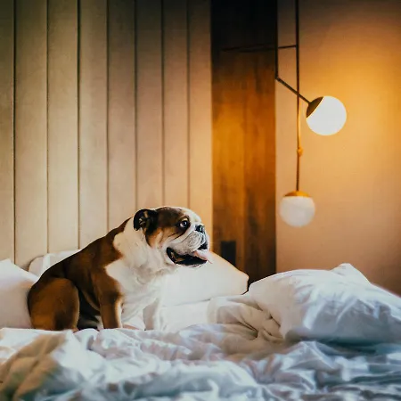 מלון Icon Malabar 4*