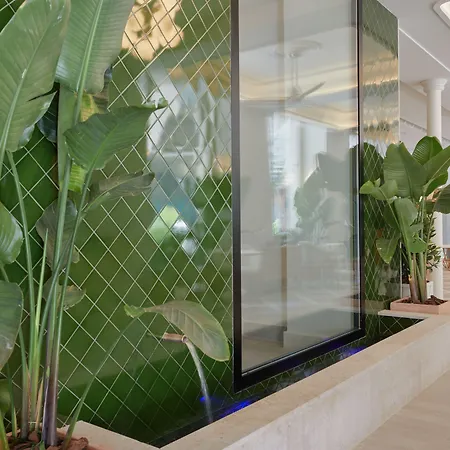 Icon Malabar מאלגה