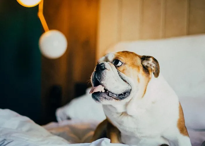 Icon Malabar מלון