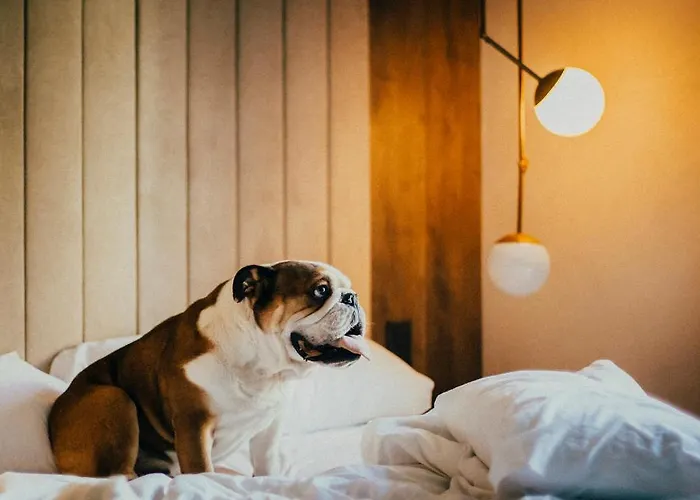 מלון Icon Malabar 4*