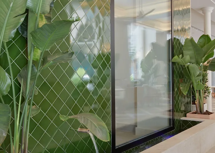 Icon Malabar מאלגה